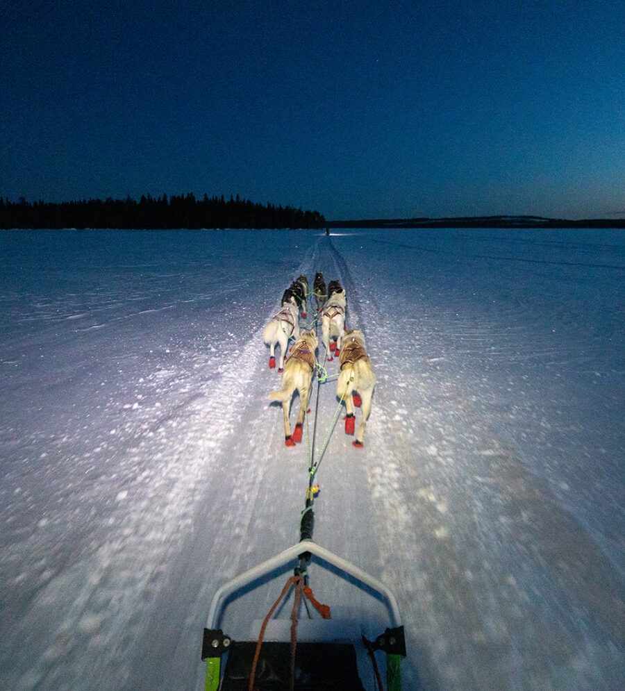 Musher's point of view on husky tour in Lapland, Finland