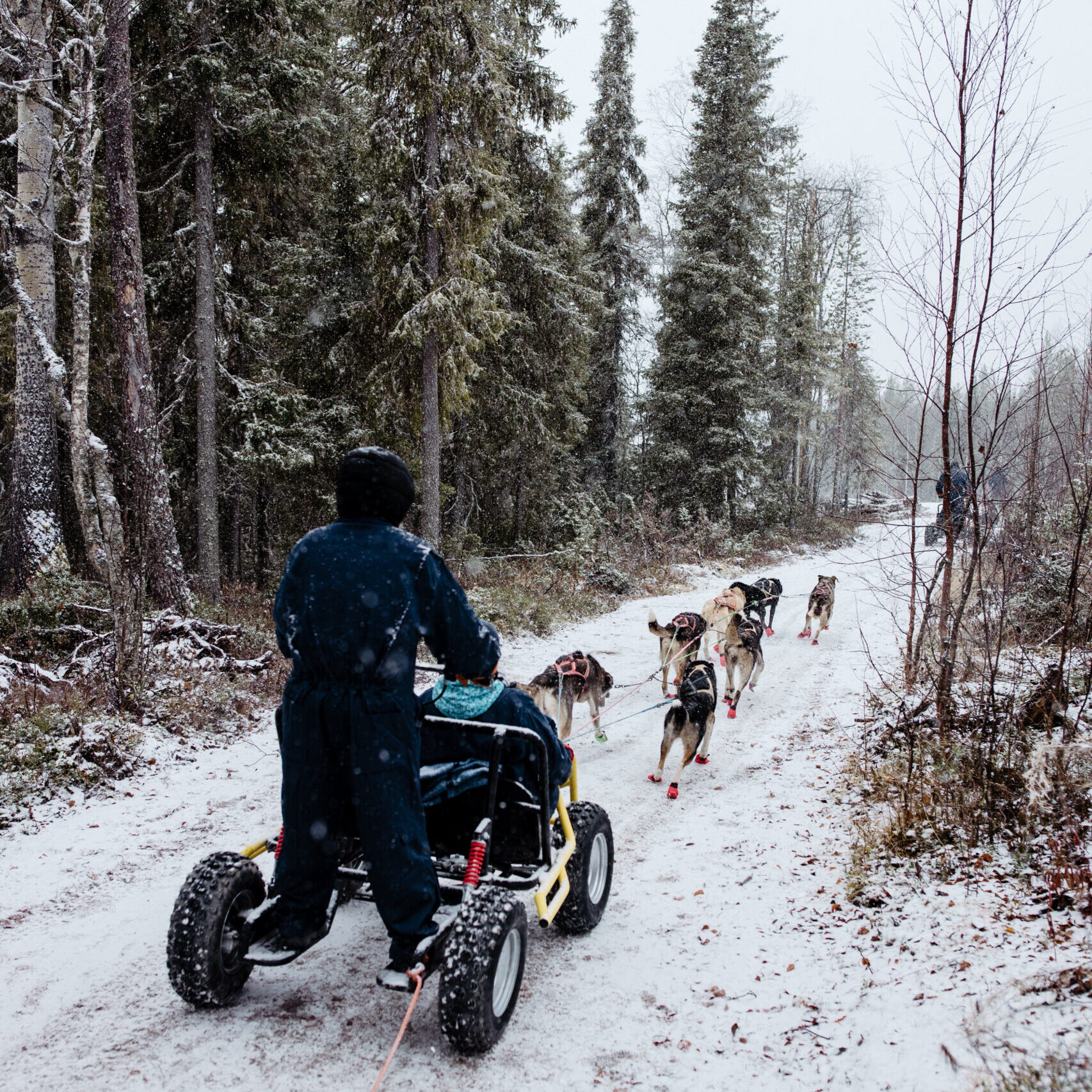 Huskies pulling a cart in Lapland, Finland