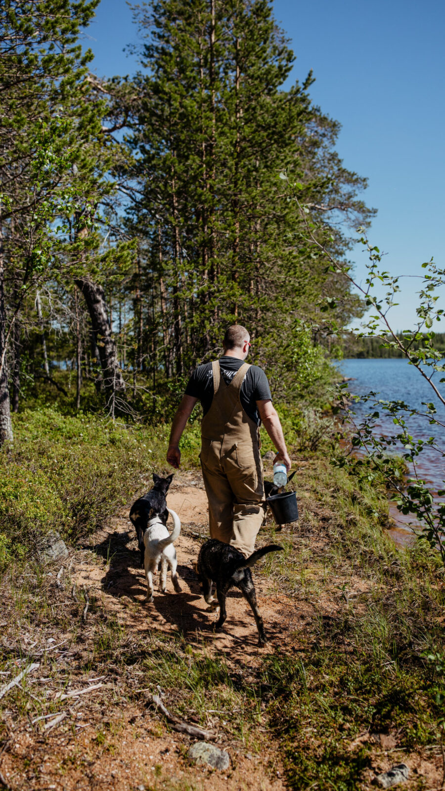 Man walking beside lake with huskies in Lapland, Finland