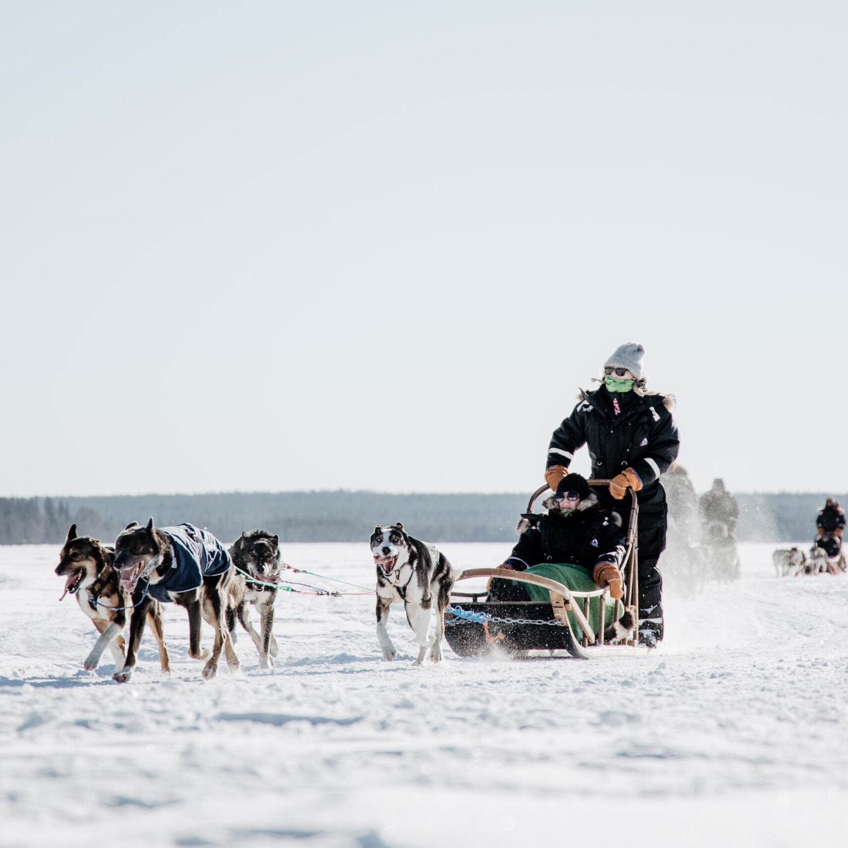 Tourists with a dog sled in Rovaniemi, Finland