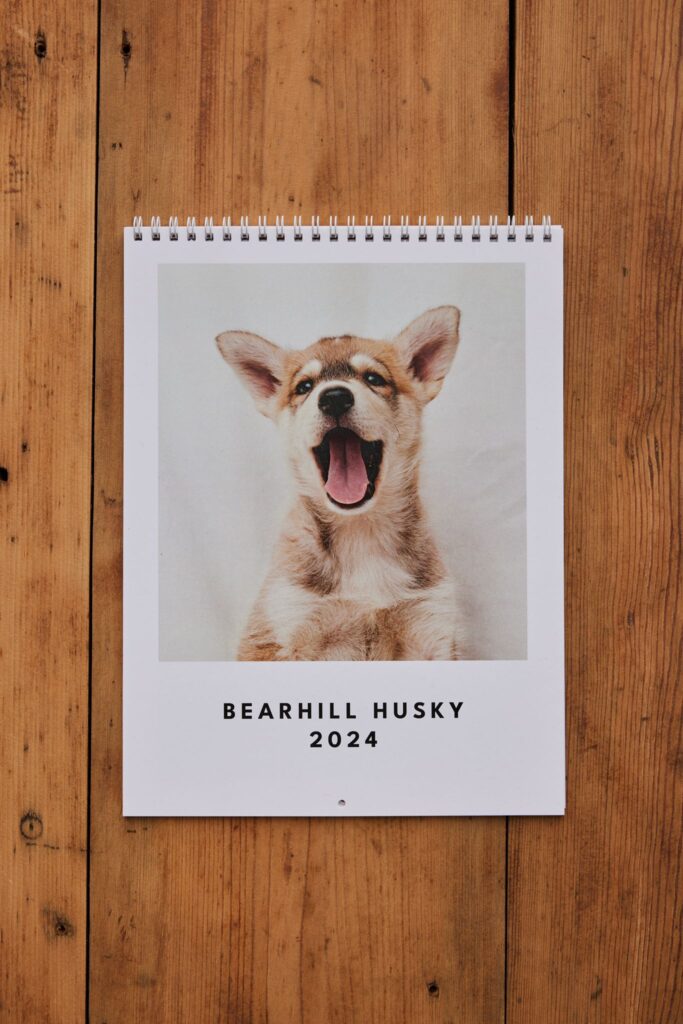 Bearhill Husky 2024 Calendar Rovaniemi Lapland Finland