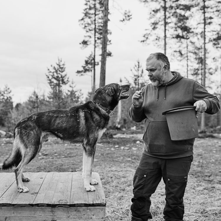Why I Refuse to Register My Dogs (For Now): A Protest Against Bureaucratic Blindness