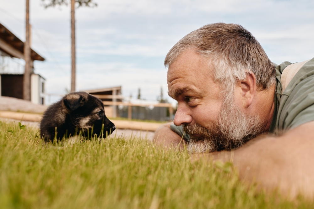 Why We’re a No-Kill Kennel: Bearhill’s Approach to Euthanasia and End-of-Life Care