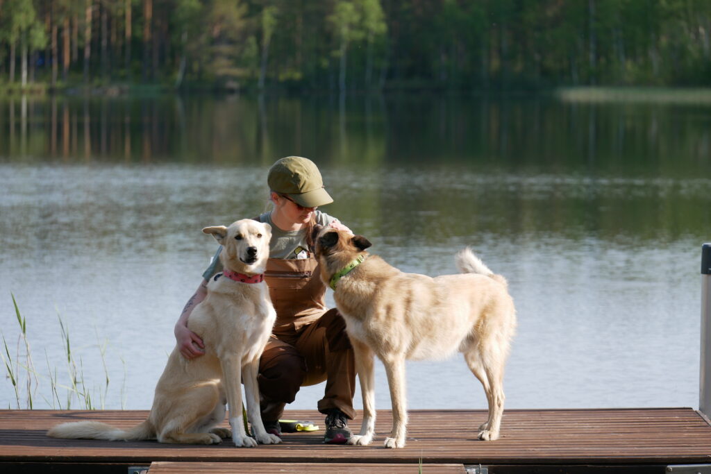 Project RePaw: Different paths towards retirement - Buck & Tulva