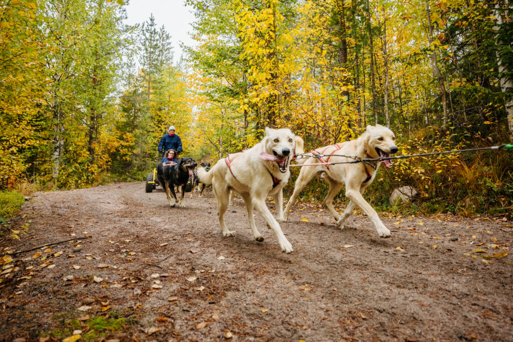 What is the best time to visit Lapland? - Autumn