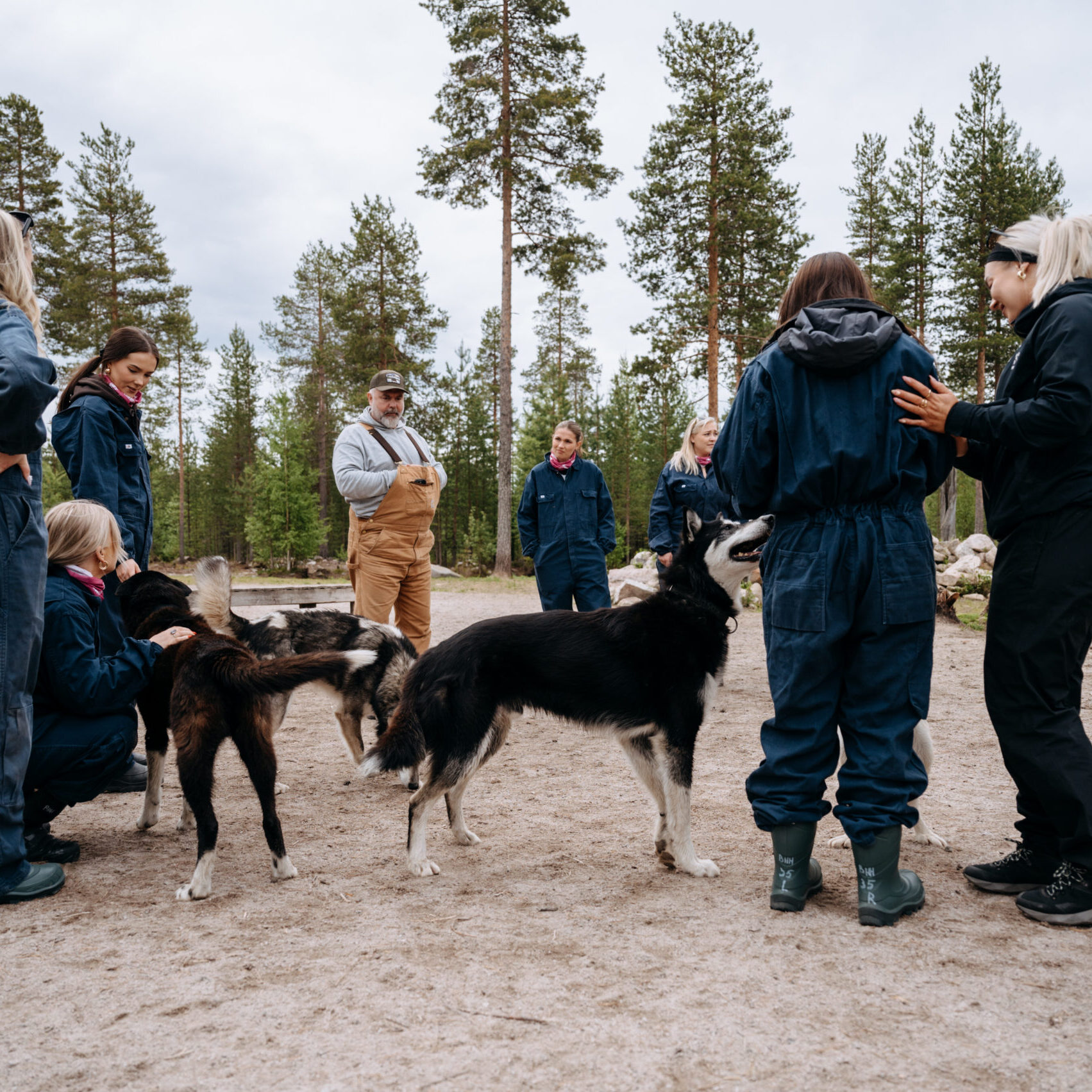 Bearhill Husky Annual Open Day - 6th September 2025