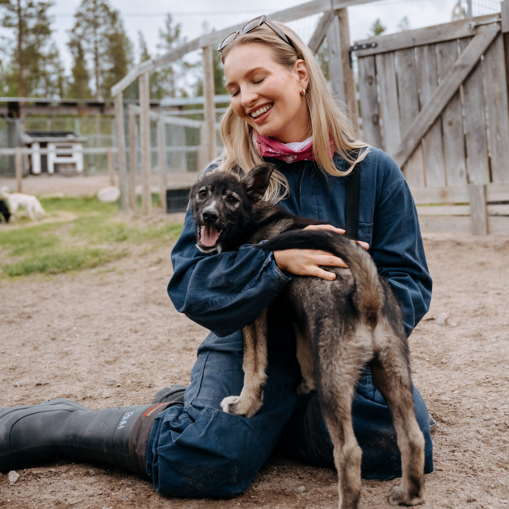 Bearhill Husky Annual Open Day - 6th September 2025