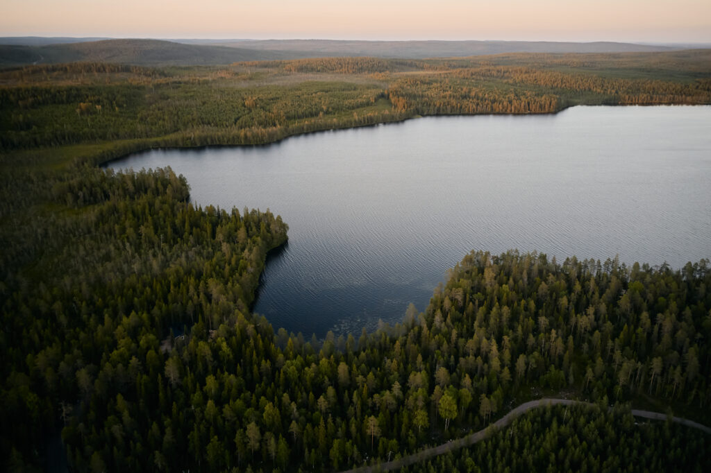 Guardians of the Land: Our Ongoing Commitment to the Waterways and Forests of Bearhill