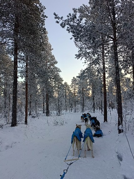 A Magical Dash Through Winter Wonderland: Santa’s Husky Rides at Santa Claus Village