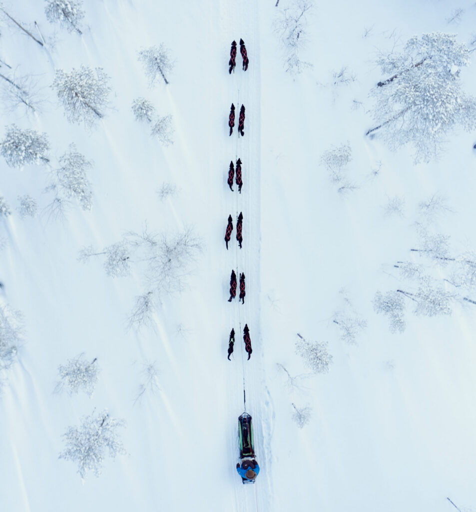 Kurt - The dog who showed me what power really feels like