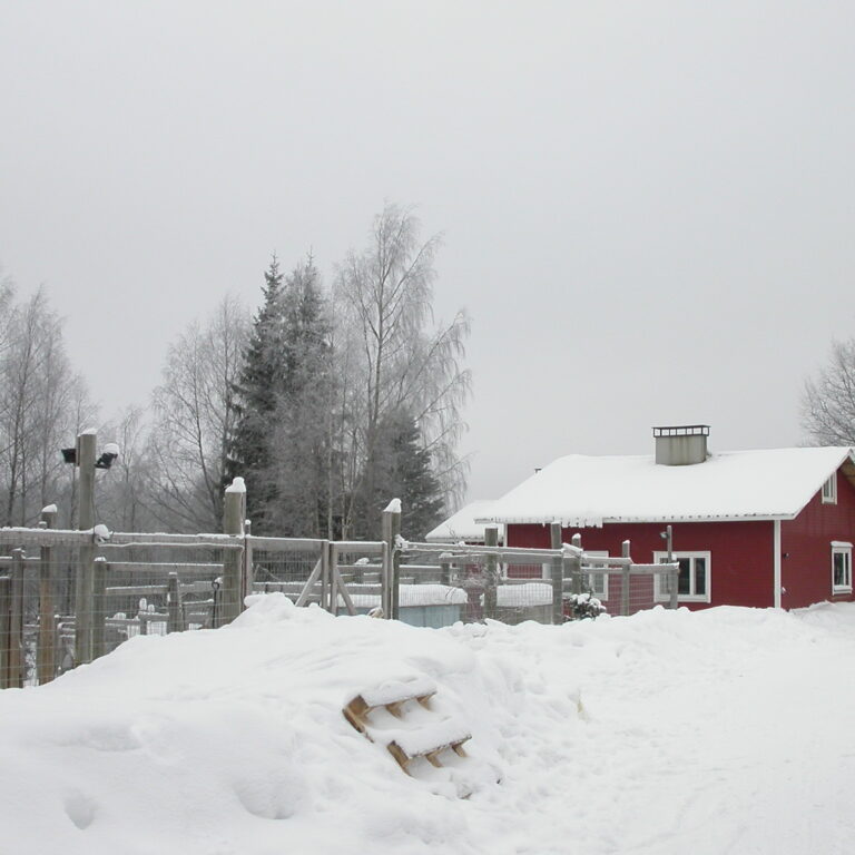 The Haunted Kennel: How We Moved Into Lieksa’s Darkest Secret