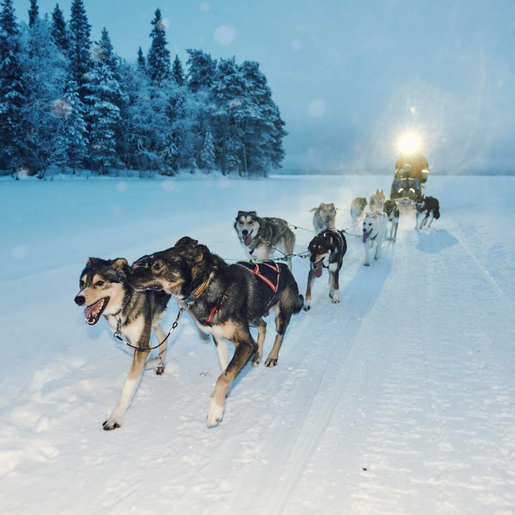 What is the best time to visit Lapland? - Winter Magic in Rovaniemi