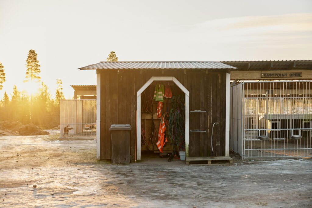 When Mother Nature Isn’t on Our Side: What Happens to Your Husky Tour?