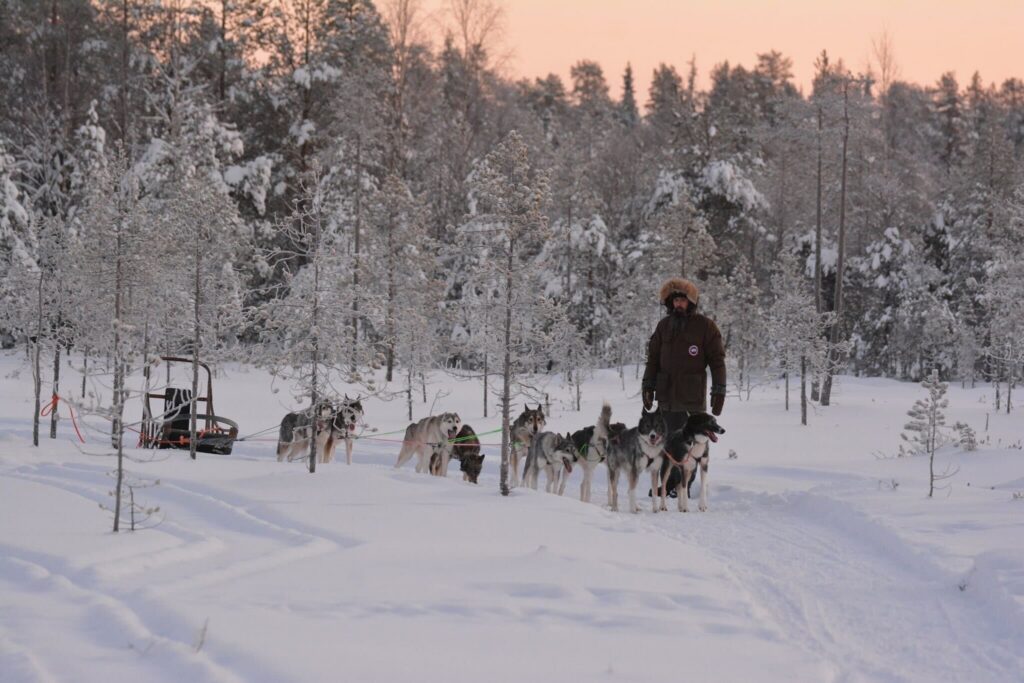 Project RePaw: How Bearhill Huskies Became Part of My Family – Mikko Kääriäinen’s Story