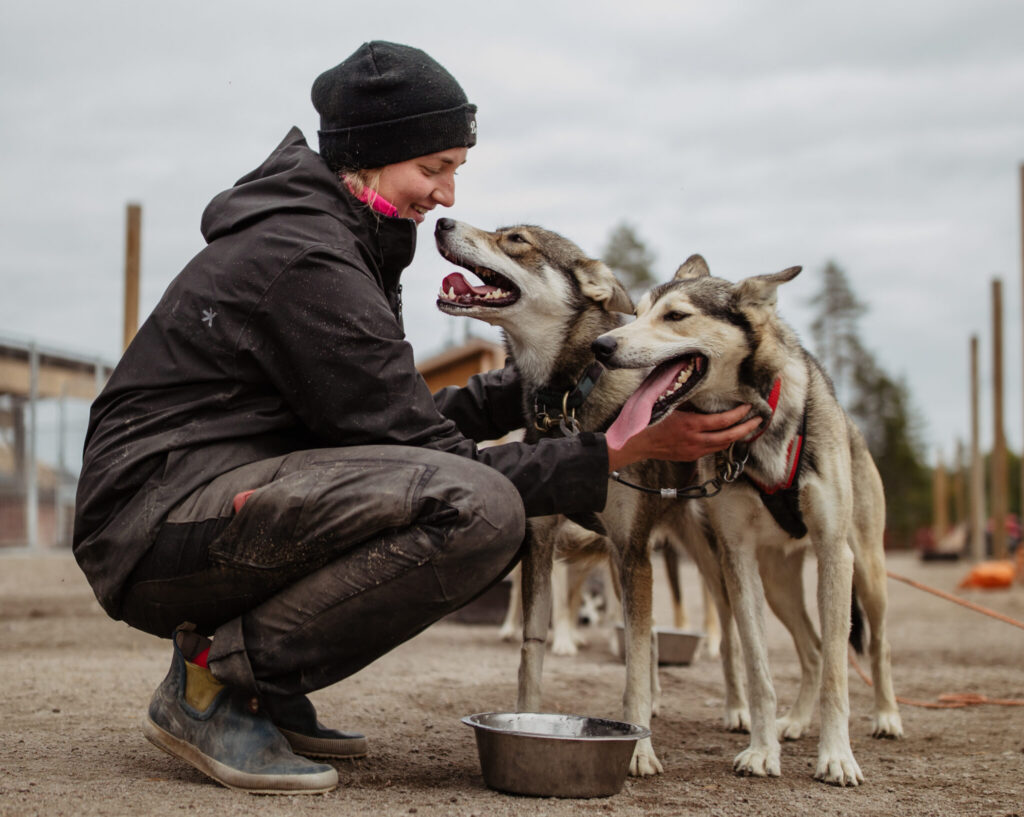 Preparing for Winter: Training Dogs, Training People, and Building a Stronger Team