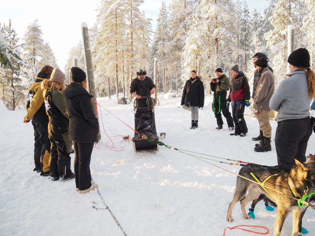 Preparing for Winter: Training Dogs, Training People, and Building a Stronger Team