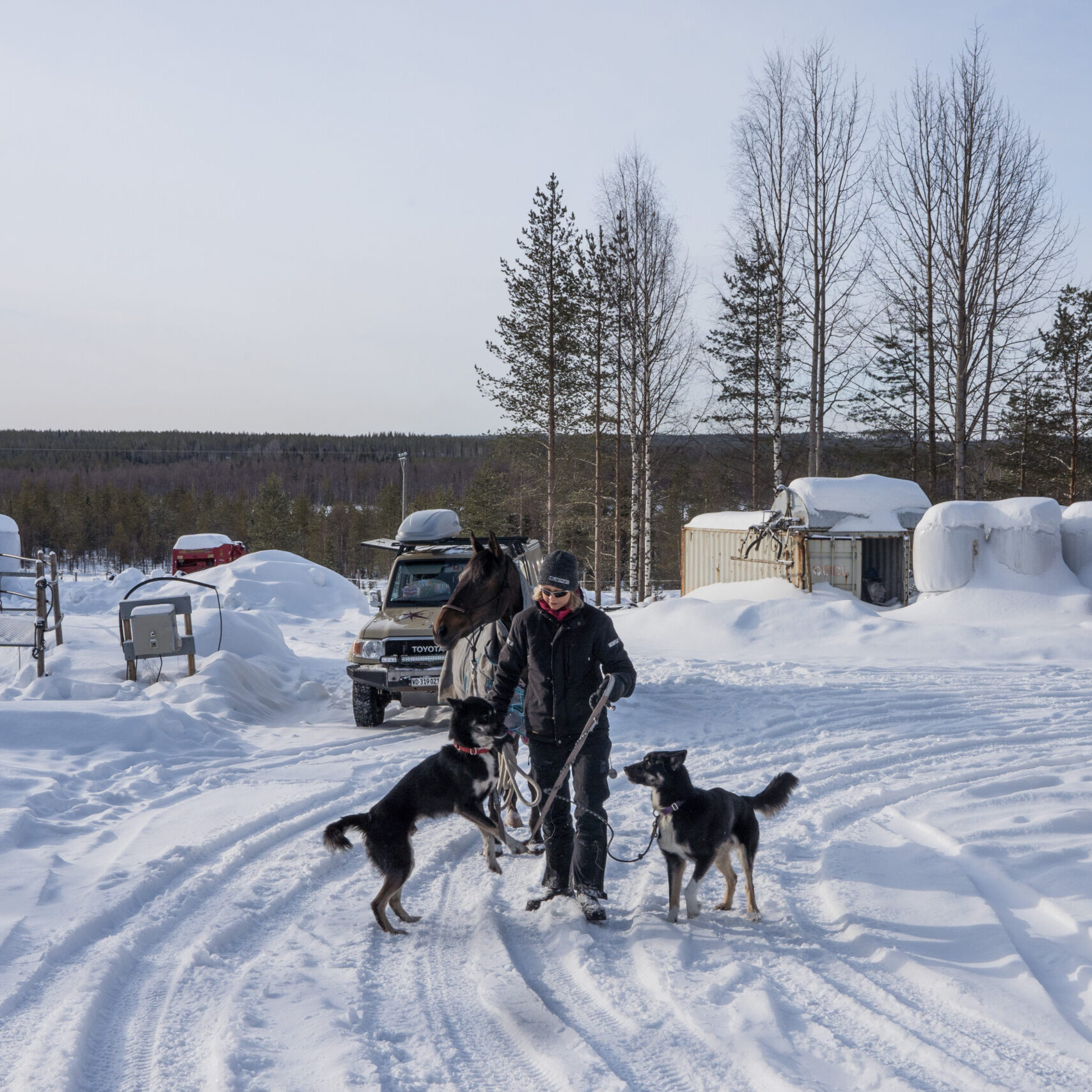 Rachel and her two Alaskan Huskies Bobby and Quint