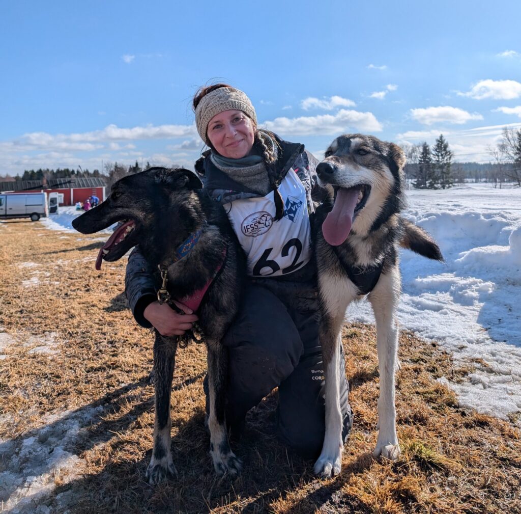 Troy, Betty and Dredge in the spring winter sunshine