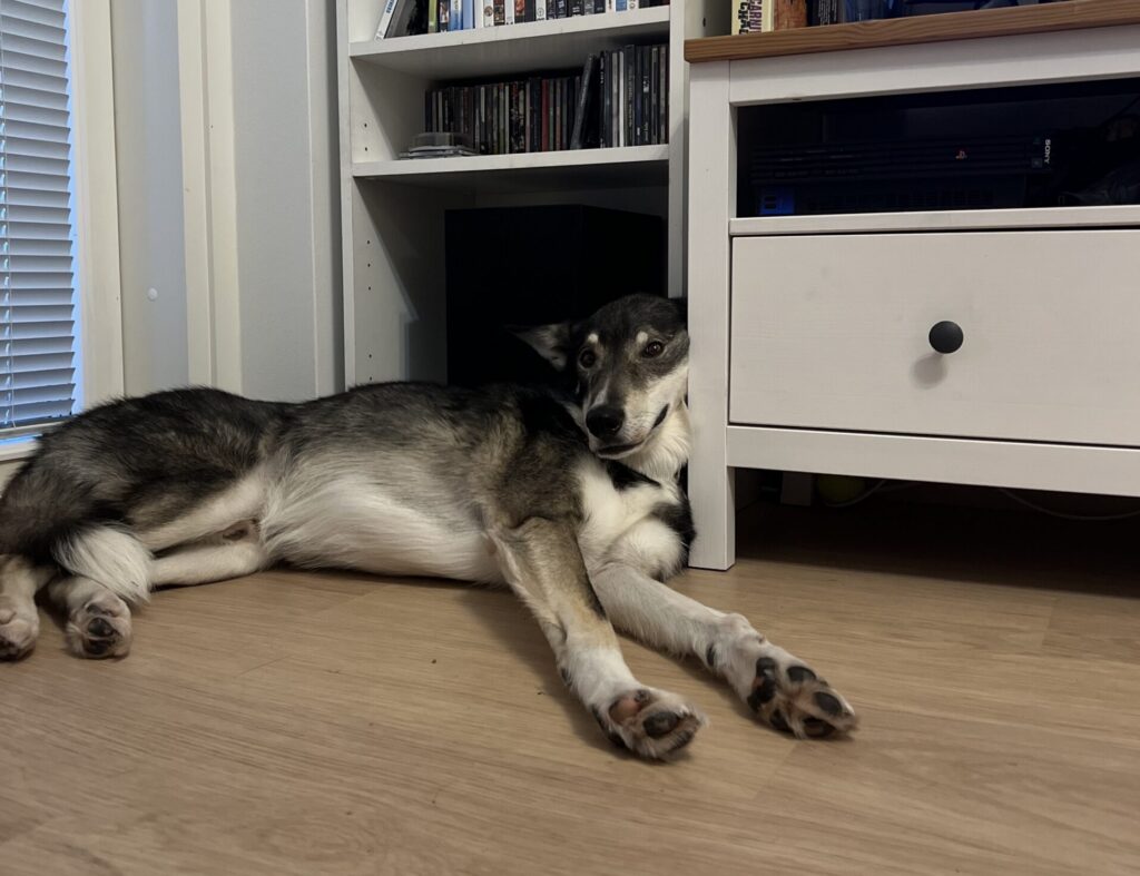 Mikki enjoying home life