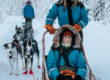 Guests enjoying a husky tour