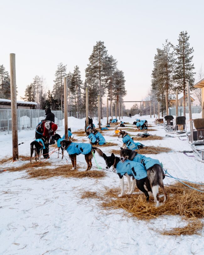 Our main starting chute