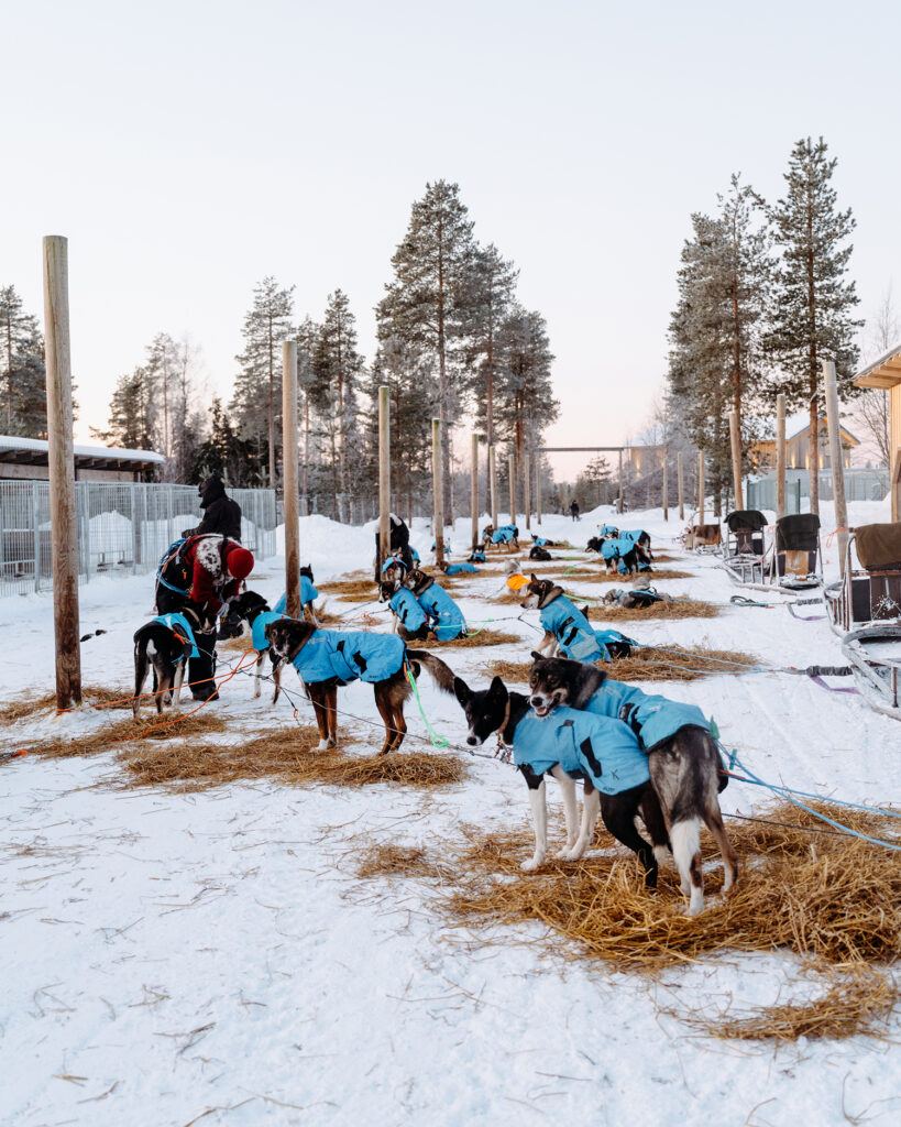 Our main starting chute