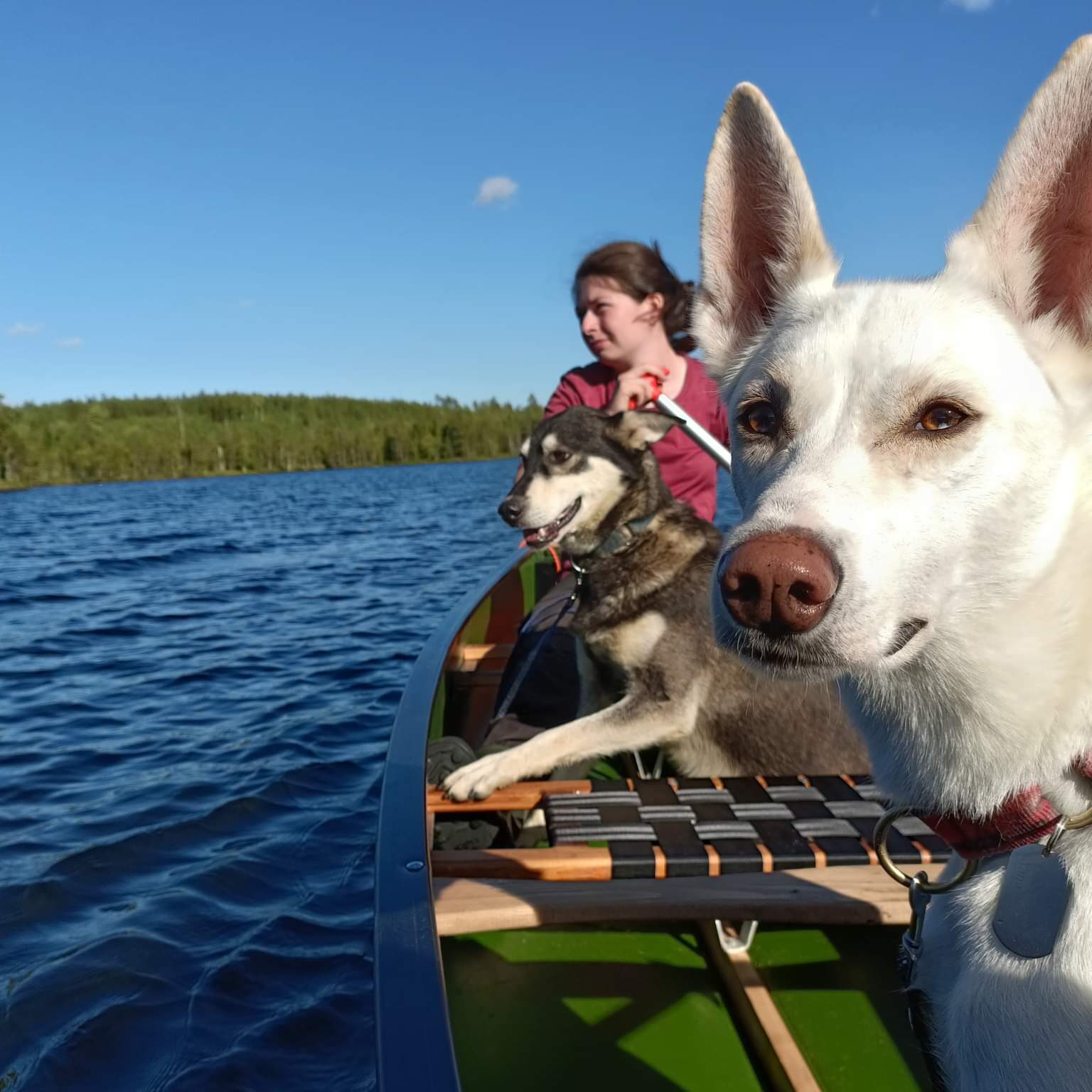 Yana, Foxy and Nooa enjoying kayaking