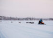 Puppies running next to a snowmobile