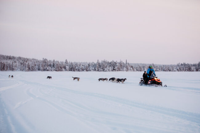 Puppies running next to a snowmobile