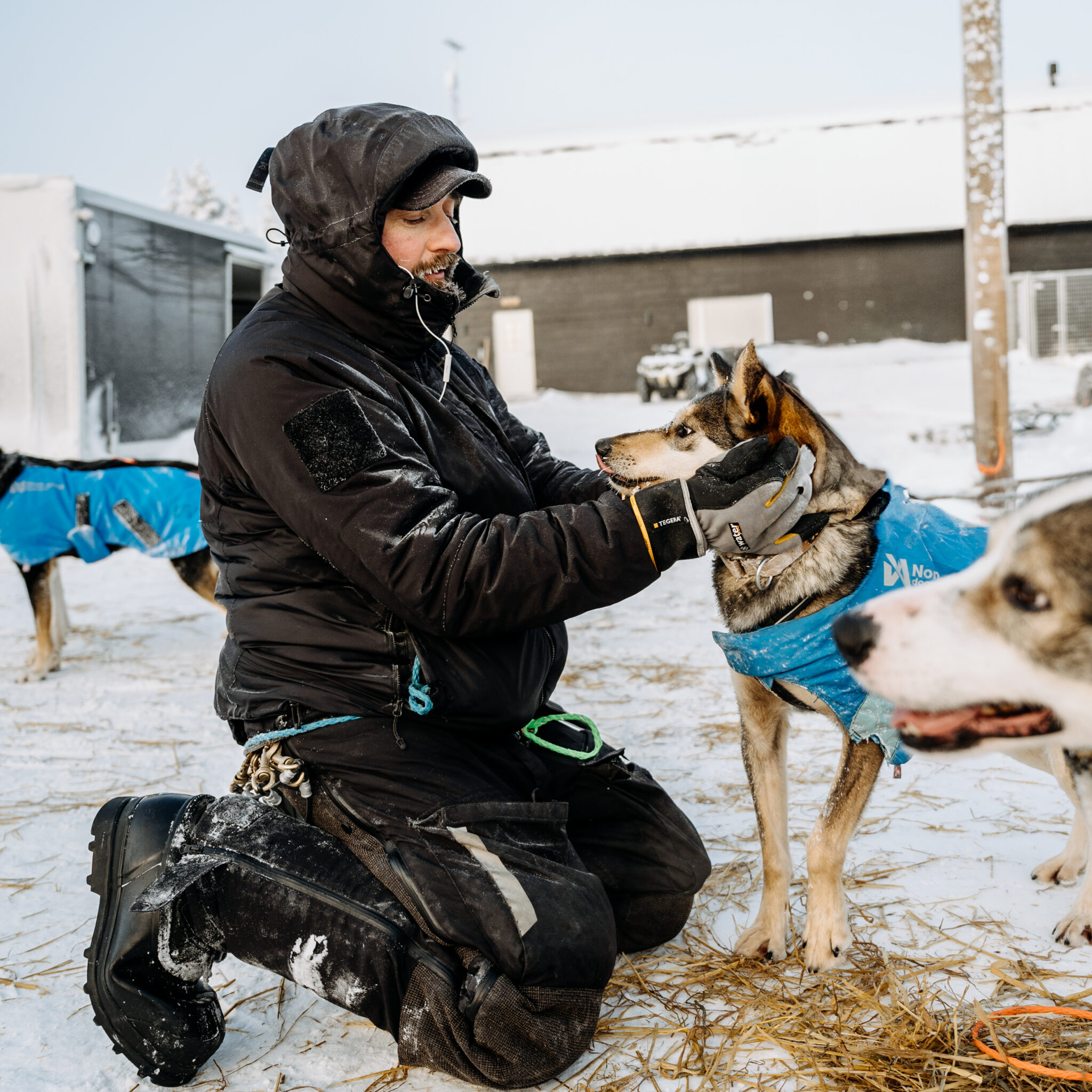 A staff member petting a dog