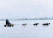 Huskies running on the frozen lake
