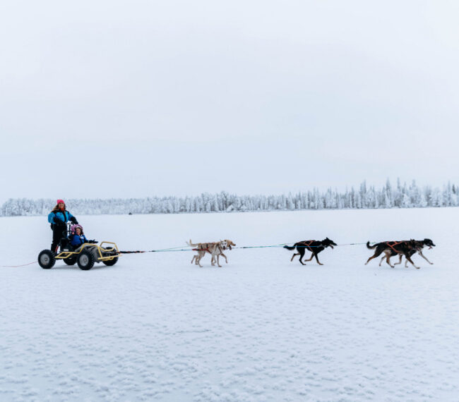 Huskies running on the frozen lake