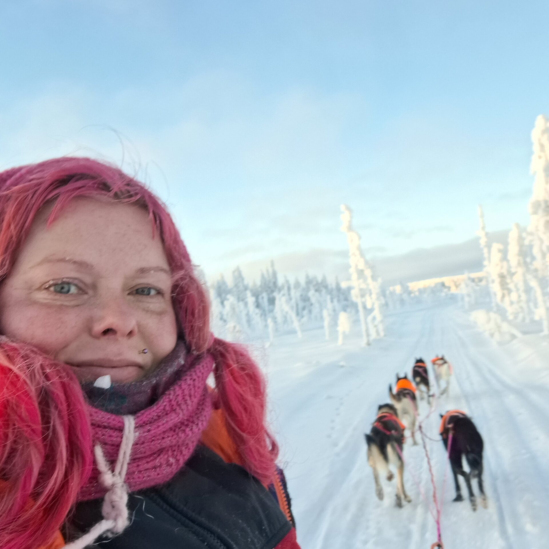 Jessica driving her team of huskies through the snowy forest