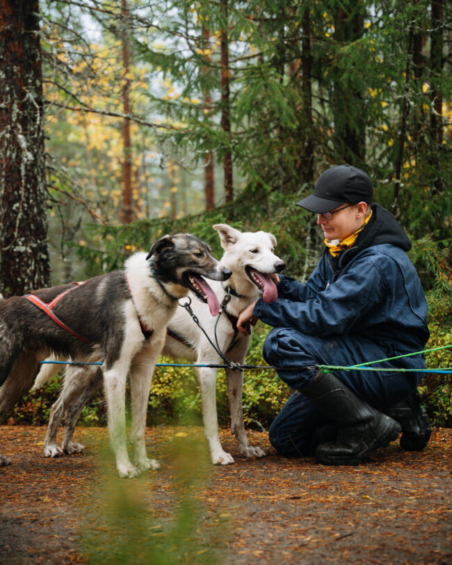 Cuddling with Alaskan Huskies