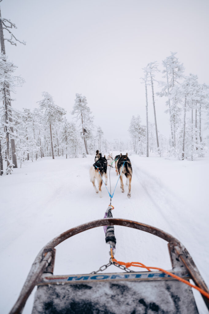 A team of huskies pulling a sled through winter wonderland