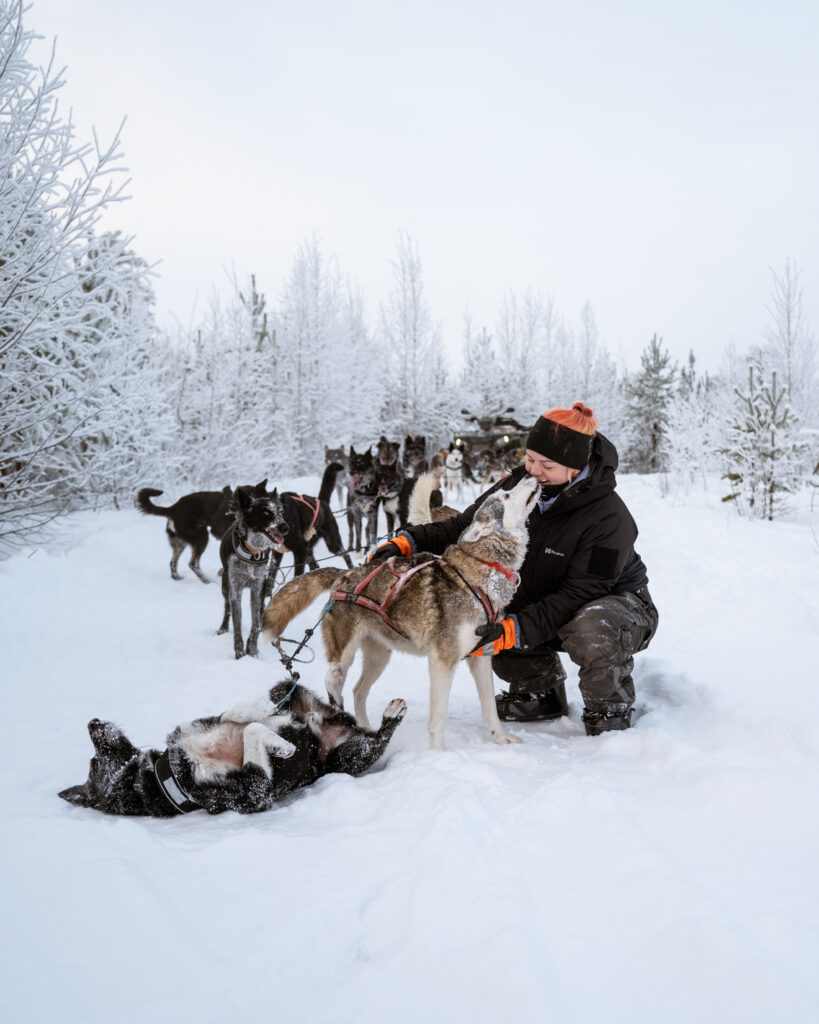 Musher Emmi with her team of Alaskan Huskies