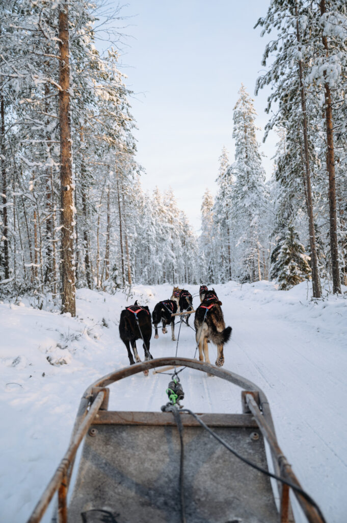 Huskies pulling the sled through a snowy landscape