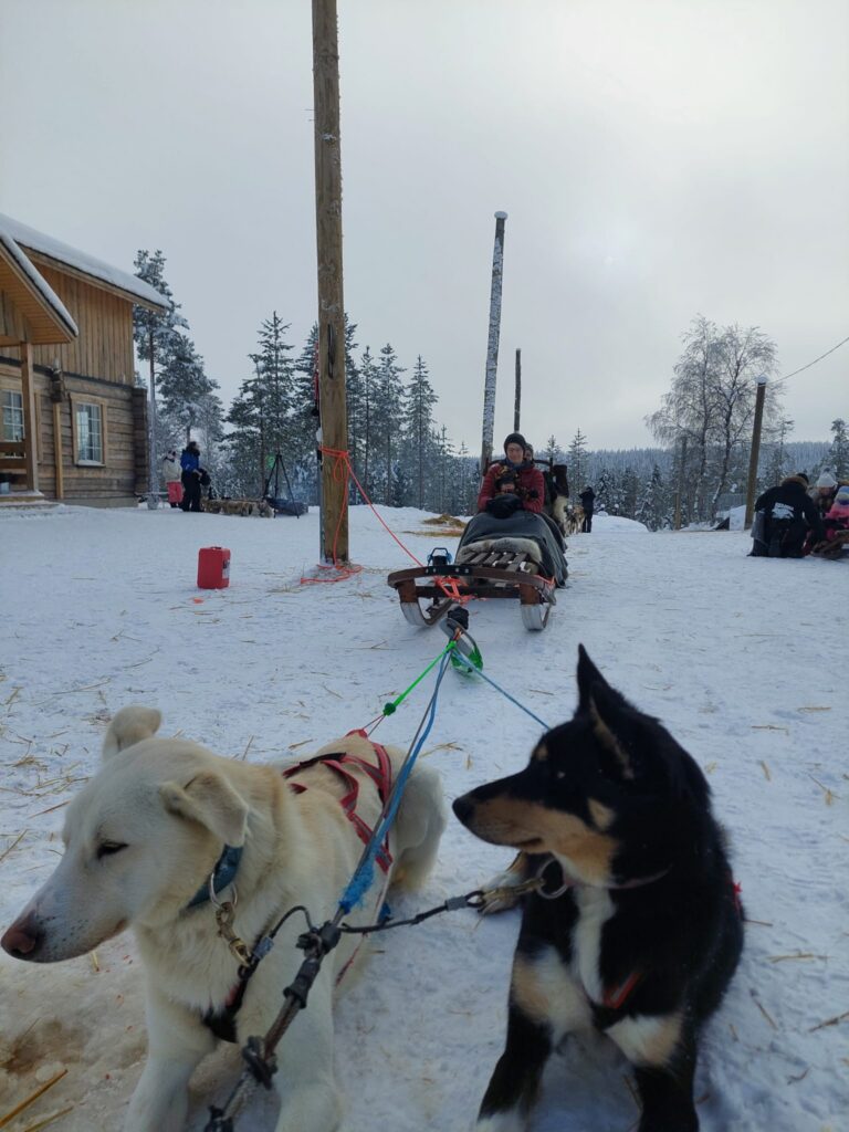 Teemu and his family on a Running with the Pack tour