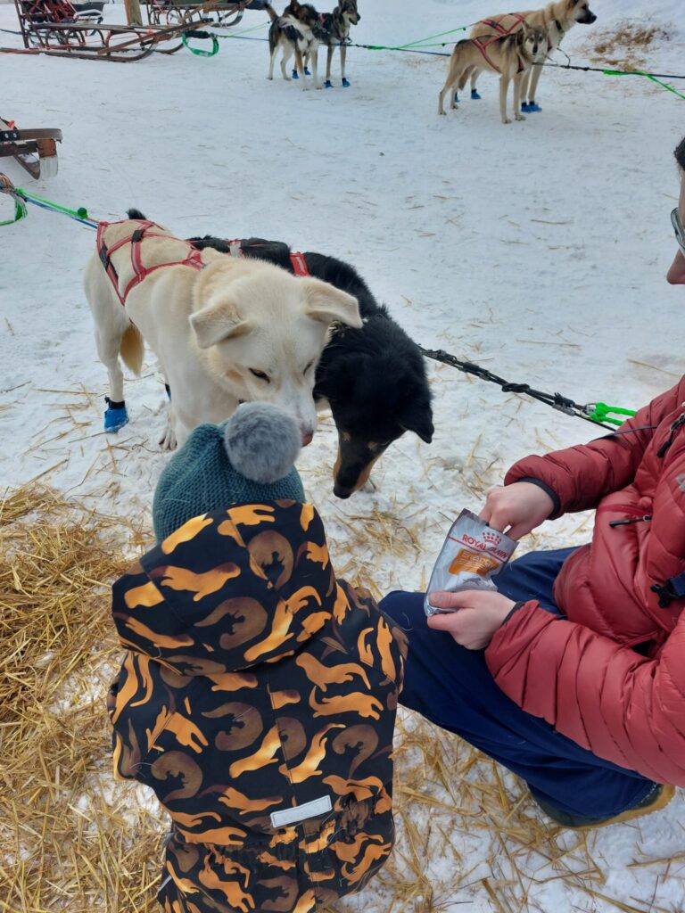 A small child attending the Running with the Pack tour